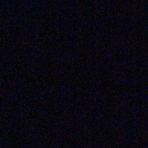 Meet your Posher, Janice